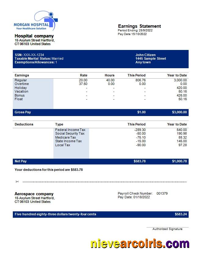hospital company earning statement